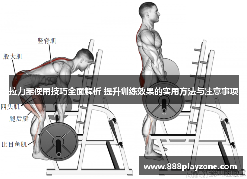 拉力器使用技巧全面解析 提升训练效果的实用方法与注意事项